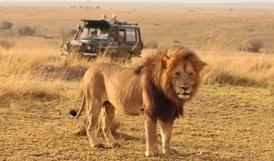 11-dniowe połączone safari dzikiej przyrody: Kenia i Tanzania — 5
