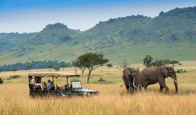 11-dniowe połączone safari dzikiej przyrody: Kenia i Tanzania — 3