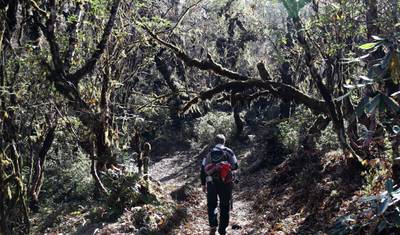 Trilho Druk Path com Tour Cultural e Caminhada a Taktsang — 4