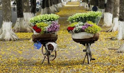 14 Days Vietnam Family Holiday — 3