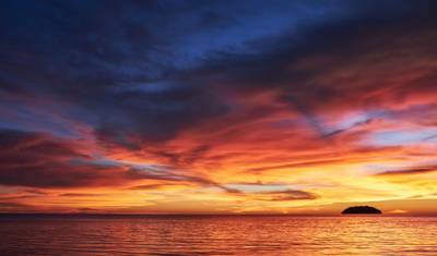 Real Borneo — 5