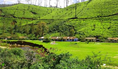 Kerala - Gods Own Country — 5