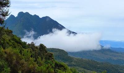 13- Day Uganda Expedition: Experience Moments with Gorillas, Wildlife and Cultural Experiences ( Private tour) — 5