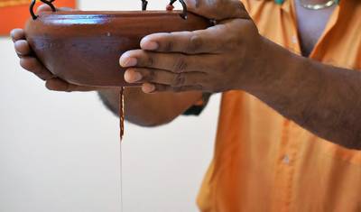 Tour Rejuvenescedor de Ayurveda em Kerala — 2
