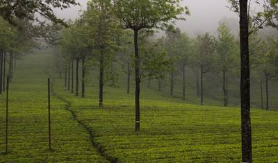 Pacote Turístico de Kerala com Taj Mahal — 5