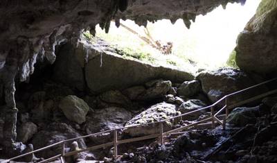 プエルトリコ最高峰の旅 - 7日間 — 3