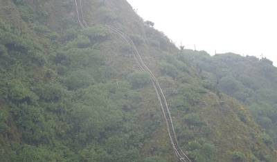 3 Dias de Trekking de Chimpanzés e Gorilas na Floresta de Kalinzu — 3