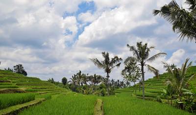 Spokojna Podróż na Bali — 2