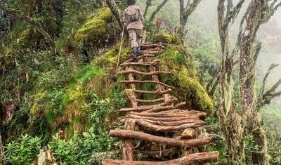 Eperience Rwanda Gorilla Trekking, Mt. Bisoke Hiking (Exclusively Private) — 4