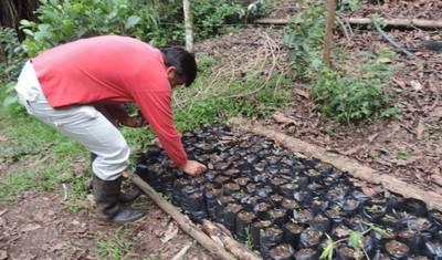 Experiência em Galápagos: Voluntariado e Viagem 2 semanas — 2