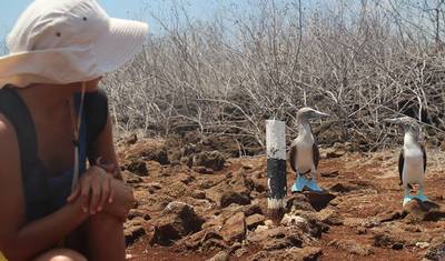 Experiência em Galápagos: Voluntariado e Viagem 2 semanas — 5