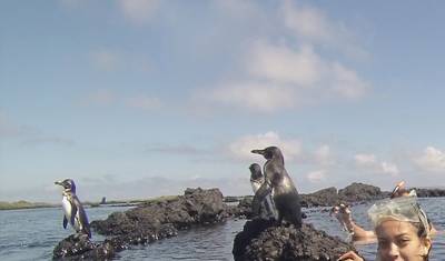 Experiência Galápagos: Voluntariado e Viagem 10 dias — 2