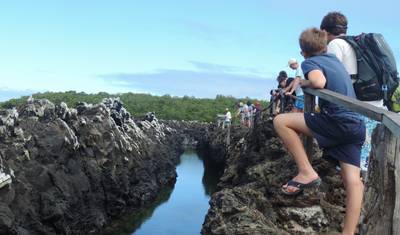 Experiência Galápagos: Voluntariado e Viagem 10 dias — 4