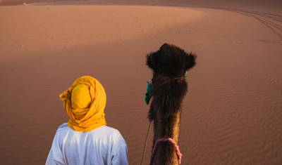 Excursão por Rajasthan — 4