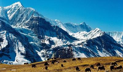 رحلة Pikey Peak: رحلة قصيرة بإطلالات رائعة على Everest - 9 أيام — 3
