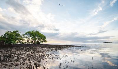 Experiência de Sydney a Brisbane: Caminhadas na Natureza e Surf — 5