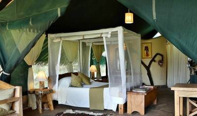 Safári Noturno de 2 Dias no Parque Nacional de Amboseli - Partida Diária Garantida — 5