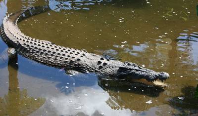 Kakadu e Katherine Gorge (Escapada de 3 Dias) — 4