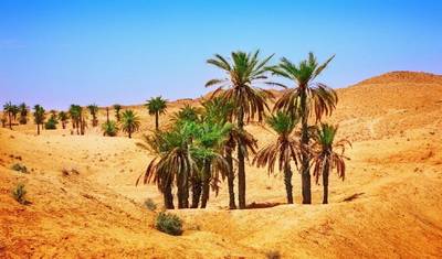 الجولة الكبرى في تونس — 3