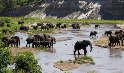 Descubra o Safari em Grupo (Econômico) de 2 Dias na Tanzânia, Tudo Incluído e Mais Acessível, Partindo de Arusha — 3