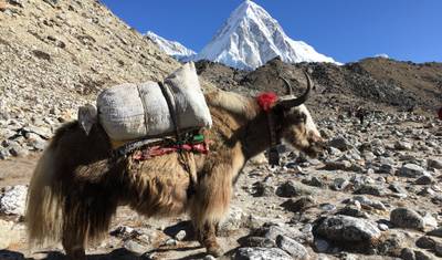 Luxury Everest Base Camp Trek -11 Days — 5