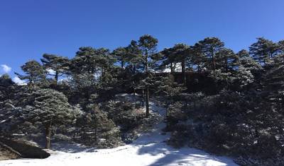 Everest View Luksusowy Trek - 6 Dni — 4
