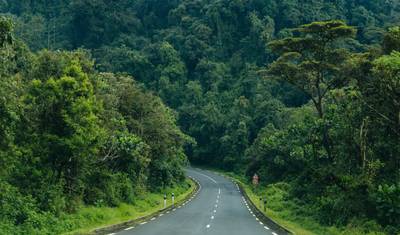 9 Dias Ruanda: Gorilas, Vida Selvagem e Cultura — 3