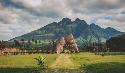 9 Dias Ruanda: Gorilas, Vida Selvagem e Cultura — 4