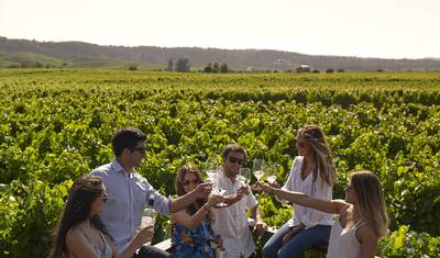 Santiago: Vales e Vinho (4 Dias/3 Noites) — 5