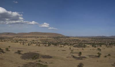 11-dniowe safari „Best of East Africa” — 4