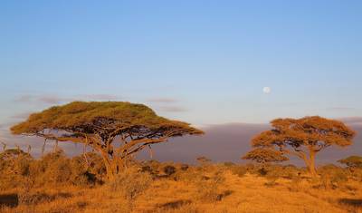 Mount Kilimanjaro day hike tour — 5