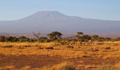Mount Kilimanjaro day hike tour — 4