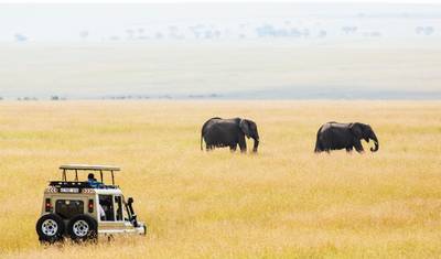 Safari de 6 Dias em Lodge na Tanzânia. — 4