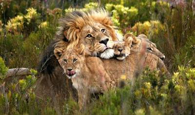 Safari de 6 Dias em Lodge na Tanzânia. — 3