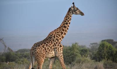 7-Day 4x4 Kenya Explorer Budget Safari — 3