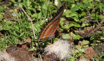 جولة عائلية للمشي لمسافات طويلة في أنابورنا - 9 أيام — 4