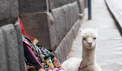 6/5 Lima, Machu Picchu, Cuzco, Święta Dolina (Wycieczki w małych grupach) — 3