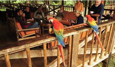 4/3 Selva de Tambopata (Passeios em Pequenos Grupos) — 2