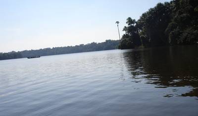 5/4 Iquitos Jungle Rainforest (Small Group) — 2