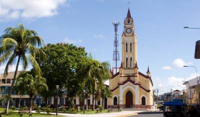 5/4 غابات الأمازون المطيرة في Iquitos (مجموعة صغيرة) — 3