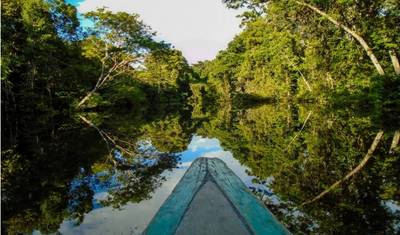 5/4 غابات الأمازون المطيرة في Iquitos (مجموعة صغيرة) — 4