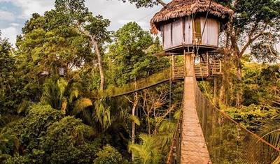 5/4 Iquitos Jungle Rainforest (Small Group) — 5