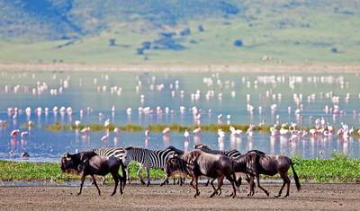 Safari de Luxo em Lodge na Tanzânia de 5 Dias — 4