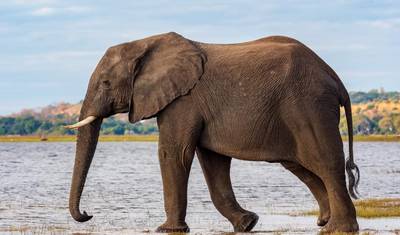 Safari de Luxo em Lodge na Tanzânia de 5 Dias — 2