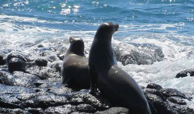 6 Days – Discover Galapagos — 2