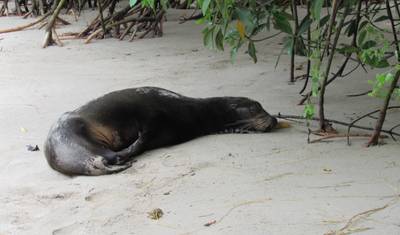 6 Days – Discover Galapagos — 3