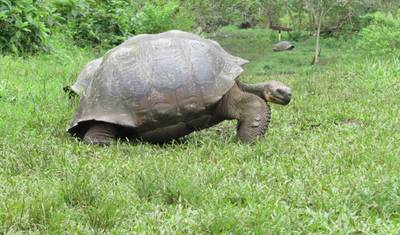 6 Days – Discover Galapagos — 4