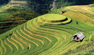 O Tour Privado de Duong Lam-Mu Cang Chai- Sapa -Bac Ha 7 Dias e 6 Noites — 4