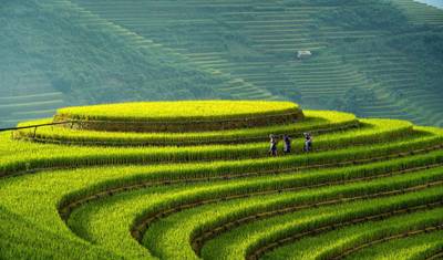 O Tour Privado de Duong Lam-Mu Cang Chai- Sapa -Bac Ha 7 Dias e 6 Noites — 5