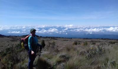 8 Days Mount Kilimanjaro Climbing - Marangu Route — 4